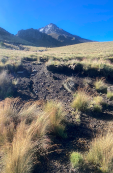 Caminata en el Nevado de Toluca