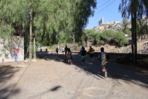 Ruta de Murales por Hércules - Image 15