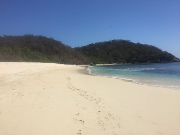 Pacífico Swim Camp– Huatulco 2025 - Image 2