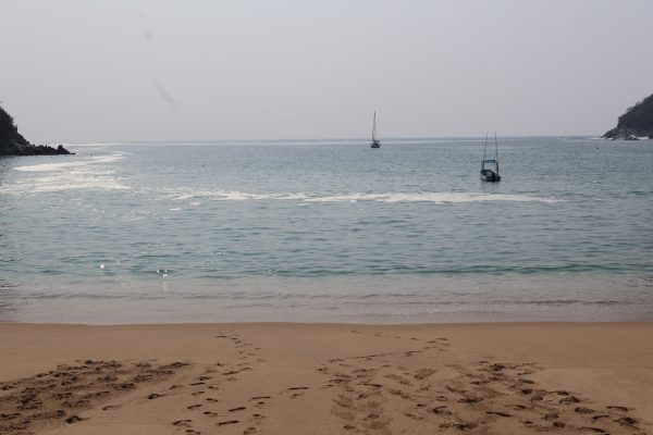 Pacífico Swim Camp– Huatulco 2025 - Image 4
