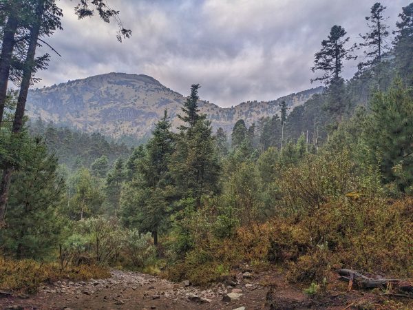 Ajusco - Image 4