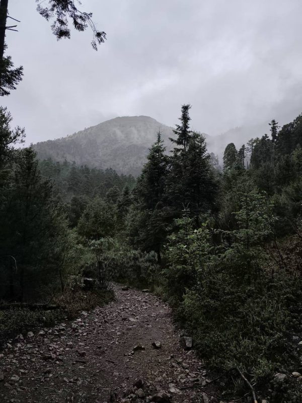 Ajusco - Image 7