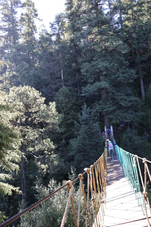 Caminata en Los Dínamos - Image 2