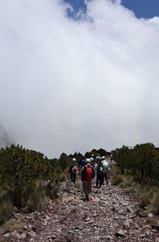 Malinche