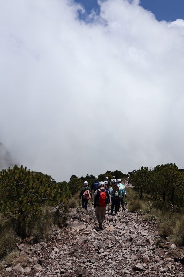 Malinche