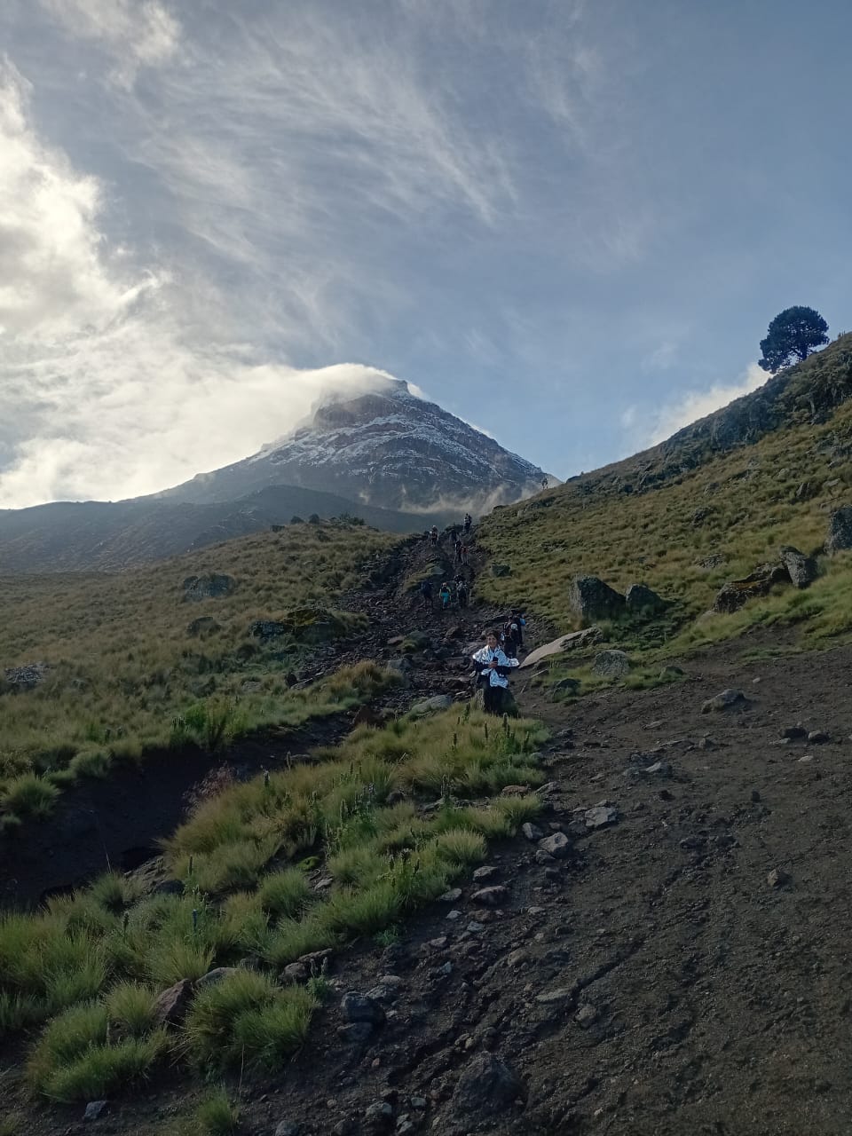 Caminata en Téyotl - Image 11