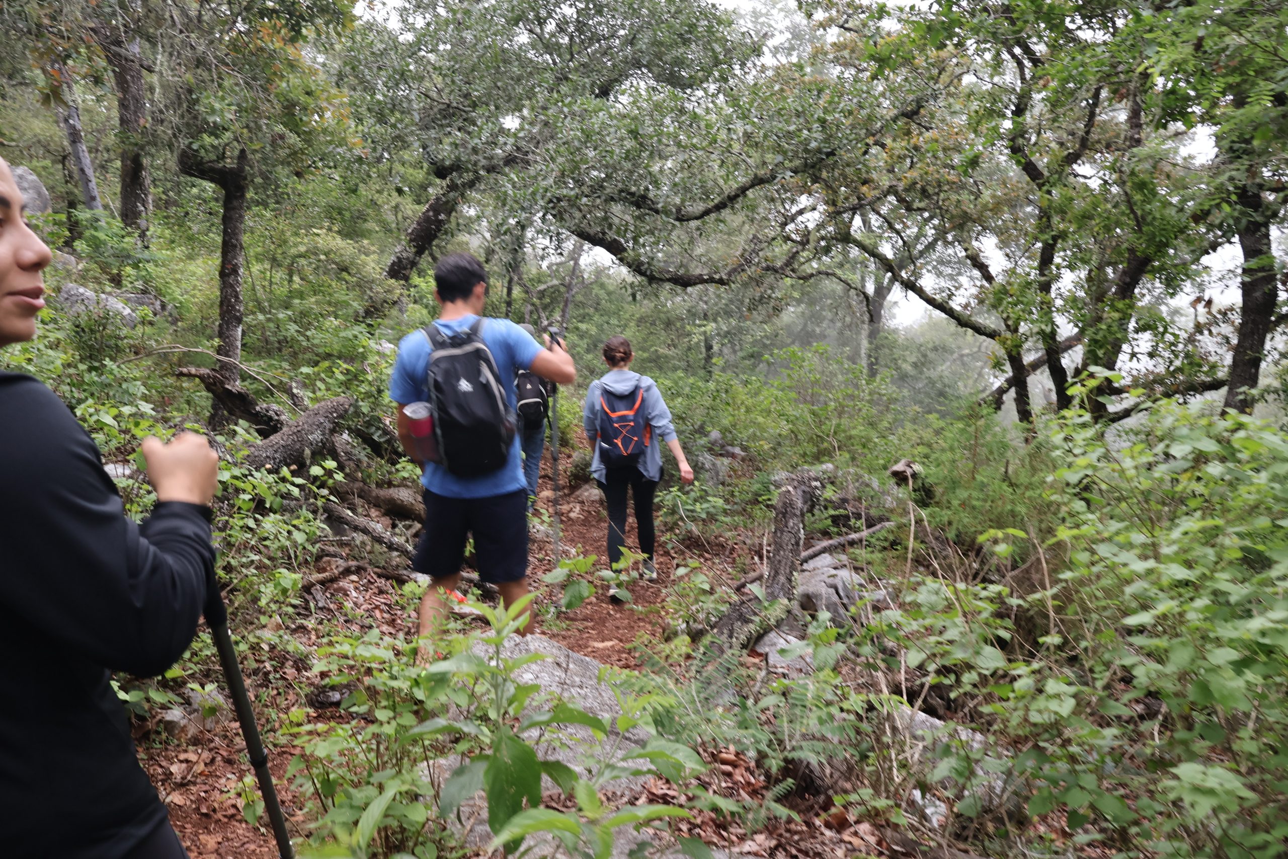 Caminata al Sótano de Barro - Image 15