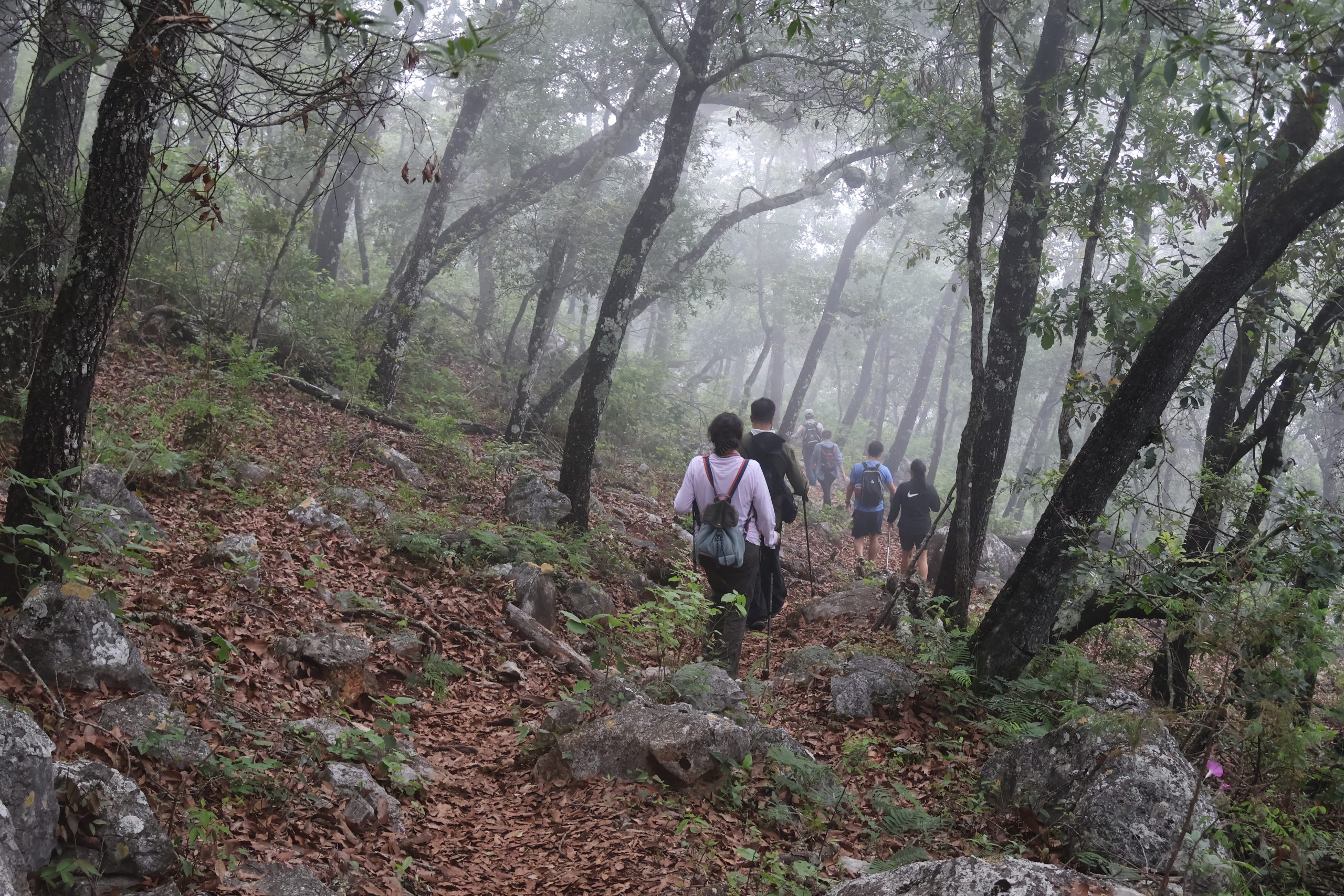 Caminata al Sótano de Barro - Image 2