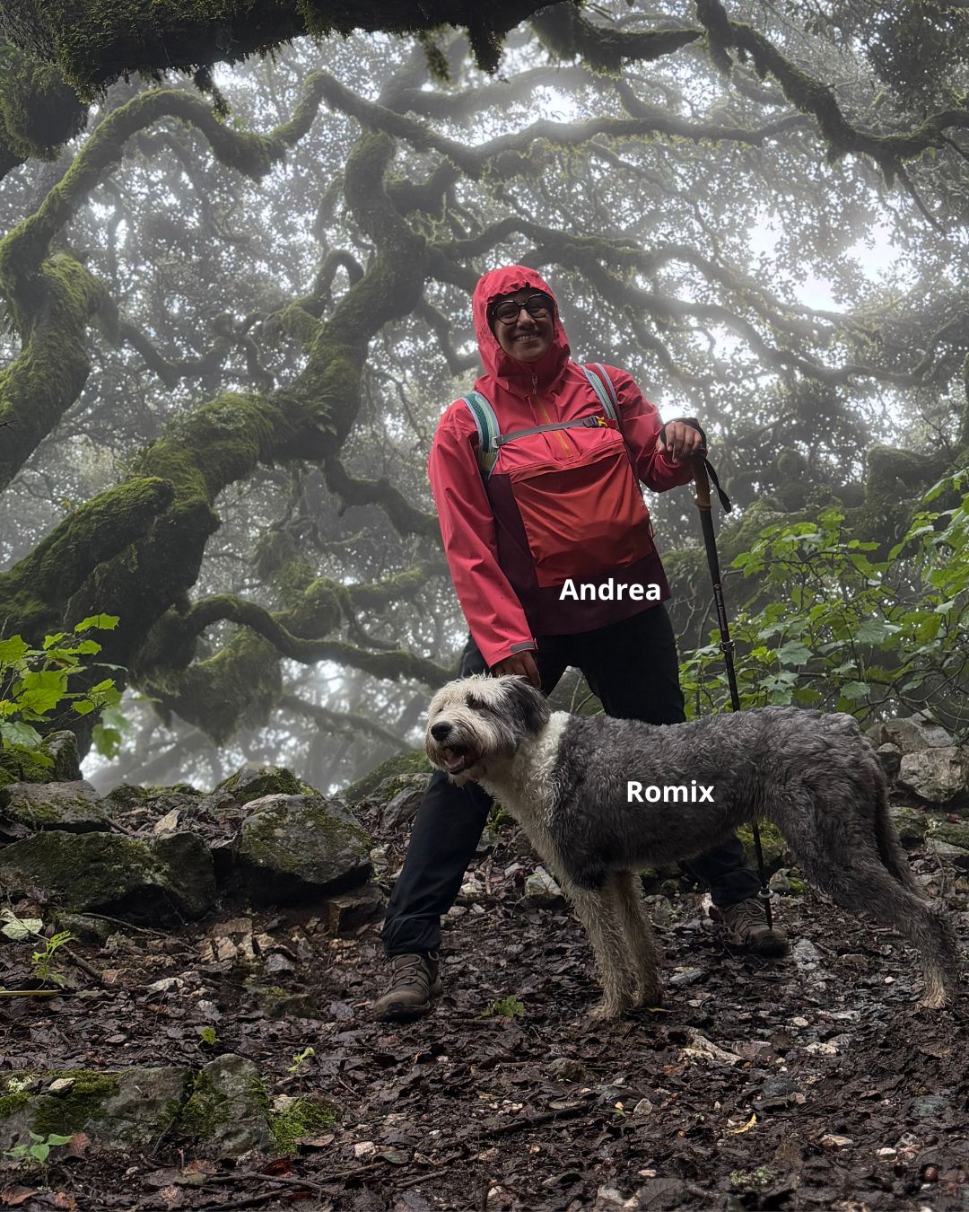 Trail Camp + Caminata en el Doctor - Imagen 5