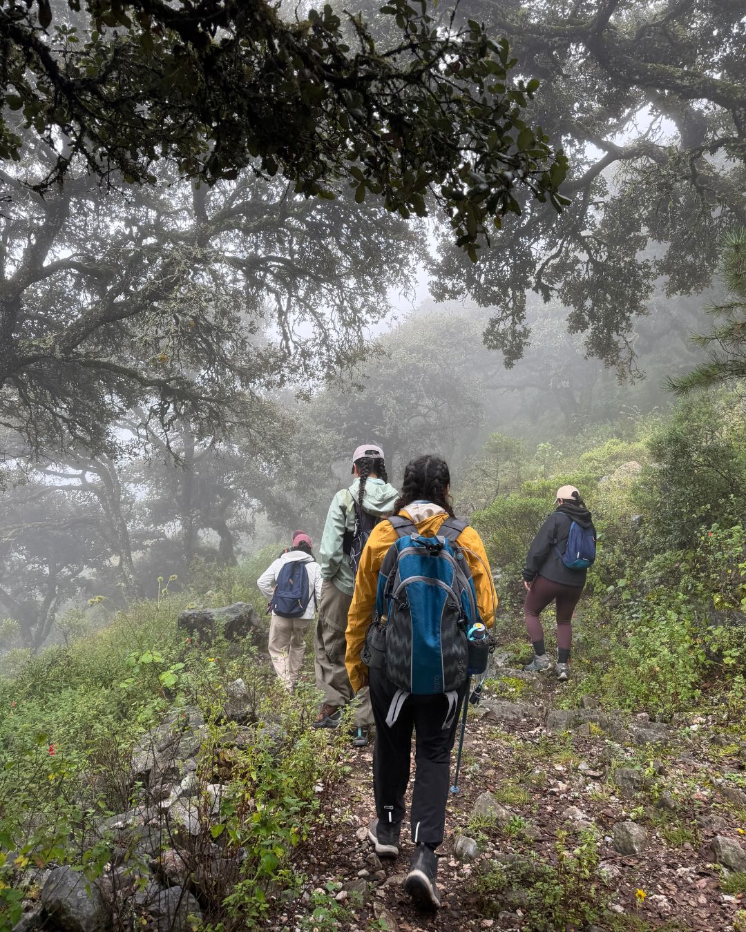 Trail Camp + Caminata en el Doctor - Imagen 9