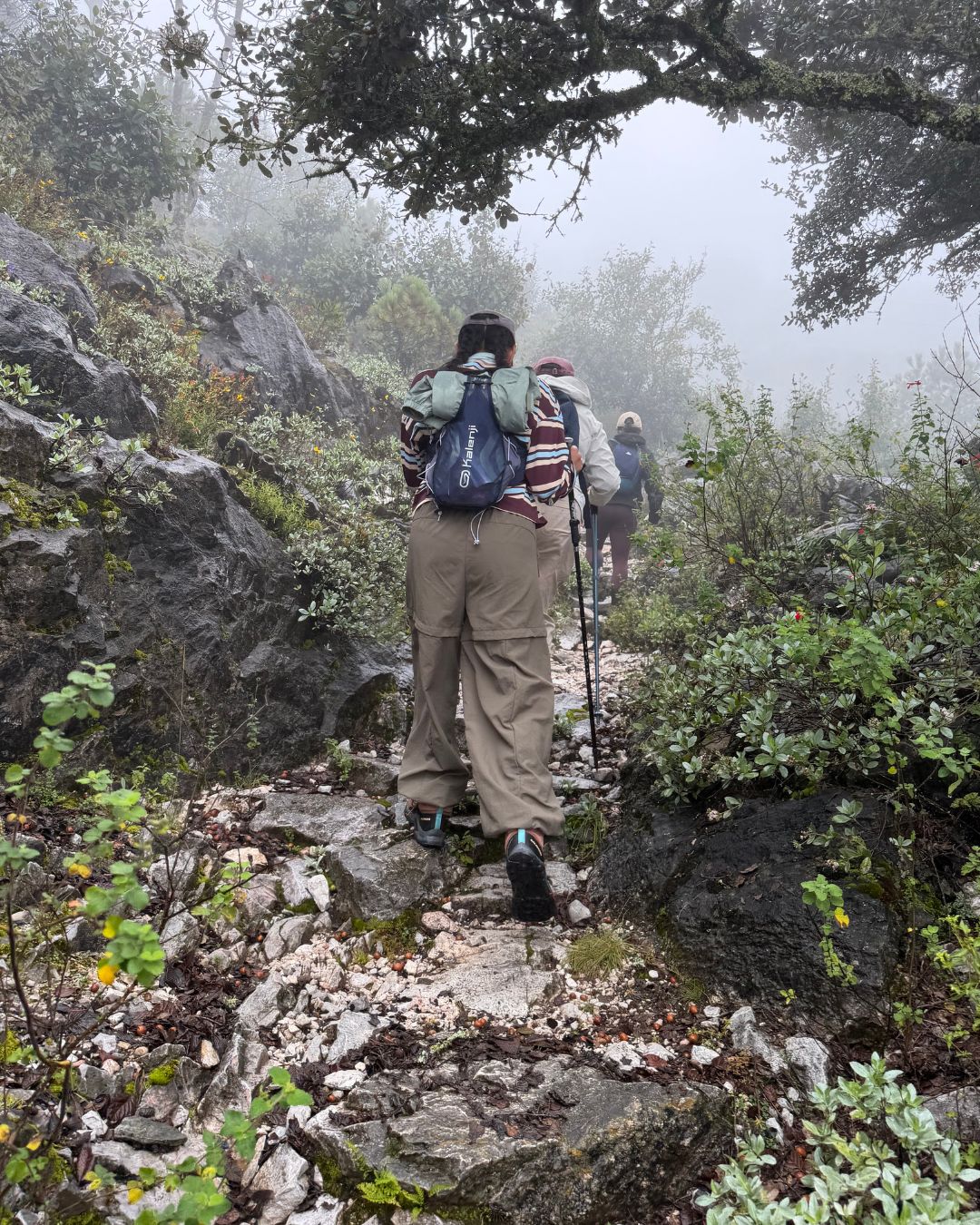 Trail Camp + Caminata en el Doctor - Imagen 11