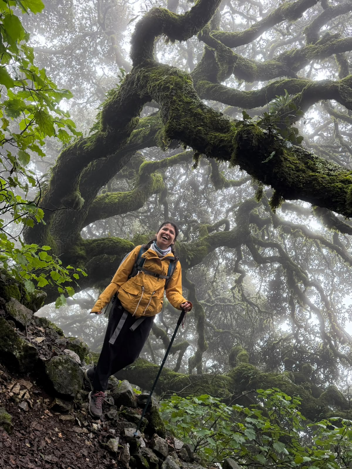Trail Camp + Caminata en el Doctor - Imagen 4